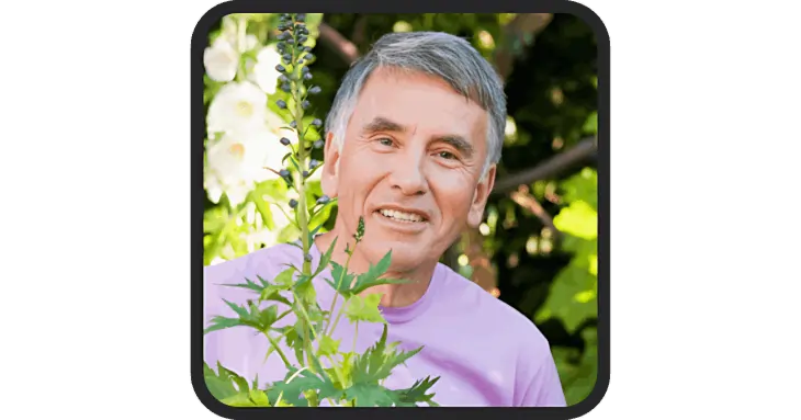 Synadentix real reviews